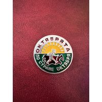 Октябрята по стране октября