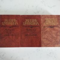 Жизнь Пушкина. Последний год жизни Пушкина. 3 книги. Цена за комплект.
