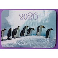 Пингвины. Календарик, глянец, 2026.ТРАСКО