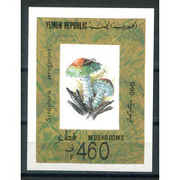 Йемен - 1991г. - Грибы - 1 блок - полная серия, MNH [Mi bl. 6]. #O-Bl-Z-2-8
