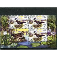 Беларусь 2006. Птица года. Чибис. Нижняя часть листа с купоном