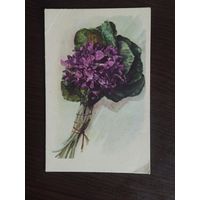 Букет. Чистая.