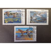 СССР. 1990 год. Фауна. Птицы. Утки (3 марки)