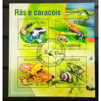 ЛИСТ ФАУНА ящеры рептилии СТО