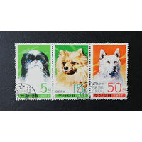 КНДР Северная Корея 1977 г. Породы собак. Фауна, полная серия из 3 марок #0213-Ф1P41