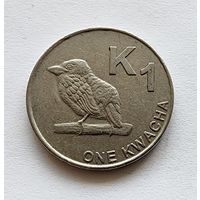 Замбия 1 квача, 2012