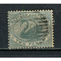 Западная Австралия (штат) - 1885/1888 - Лебедь 2Р - [Mi.32] - 1 марка. Гашеная.  (Лот 10HW)-TG3P20