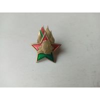 ЗНАК ПИОНЕР РБ