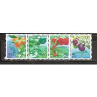 ФФ2 Япония 2002 Фрукты