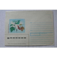 1989, ХНМК, Казакова Н., Калина обыкновенная.