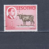 [694] Лесото 1967. Фауна.Домашние животные.Корова. Гашеная марка.
