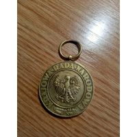 Медаль. Победы и свободы. Польша. 1945 год.