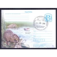 Беларусь 2010 ПК с "В" с СГ "Беловежская пуща" зубр бобр фауна