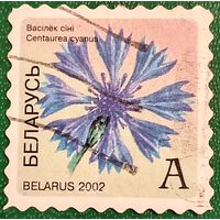 Беларусь 2002. Цветы. Василек синий