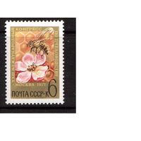 СССР-1971, (Заг.3923) **  Конгресс пчеловодства