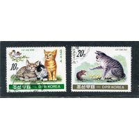 КНДР. Фауна. Кошки