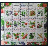 Беларусь 2004 малый лист, ягоды.