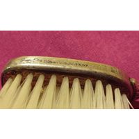 Гребешок серебряный