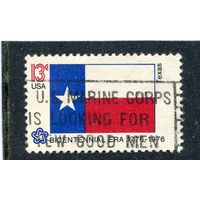 США. Флаг штата Техас