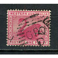 Западная Австралия (штат) - 1898/1907 - Лебедь 1Р - [Mi.44] - 1 марка. Гашеная.  (Лот 11HW)-TG3P20