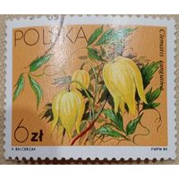 Польша 1984. Флора. Цветы. Clematis languliva. Марка из серии