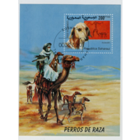 2000 Республика Сахара   собаки.