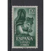 Испанская Сахара 1964** Фауна