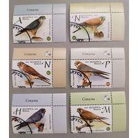 Соколы. Полная серия, 2021