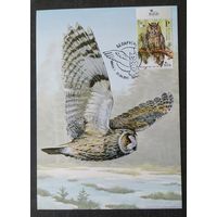 Беларусь 2015 КМ Ушастая сова, птица года.