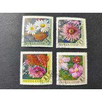 1970 СССР. Цветы