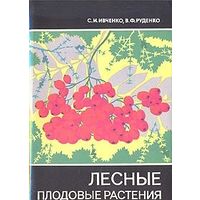 Ивченко. Лесные плодовые растения