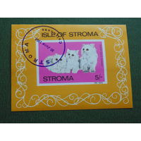 STROMA 1969 г. Коты.