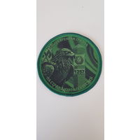 Шеврон маневренная группа на стаже южных рубежей пограничная служба Беларусь