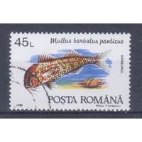 [1559] Румыния 1992. Фауна.Рыба. Гашеная марка.