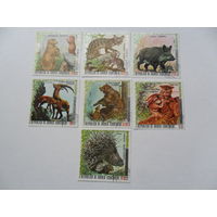 Экваториальная Гвинея, животные