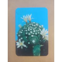 Календарь 1990/7 Цветы