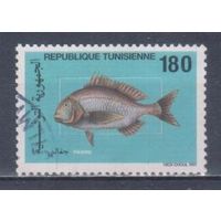 [1337] Тунис 1991. Фауна.Рыбы. Гашеная марка. 1