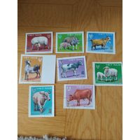 Вьетнам серия марок 1979 г. Домашние животные