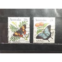 Австралия. Фауна. Бабочки (1460)