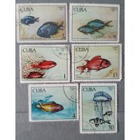 Куба рыбы 6шт 1969г