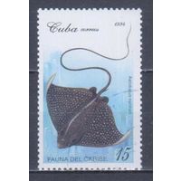 [1565] Куба 1994. Фауна.Рыбы.Скат. Гашеная марка.