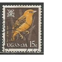 Уганда. Королевский ткач. 1965г. Mi#89.