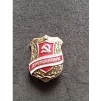 Значок СССР  Дружинник