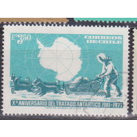 Собака фауна 10 летие Договора об Антарктике Чили 1972 год лот 5