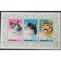 КНДР 1977 кошки.