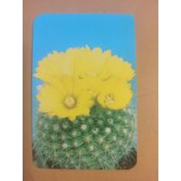 Календарь 1990/8 Цветы