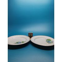 Тарелка СССР (одним лотом).