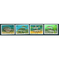 Корея 1991 Рыбы 2м MNH **