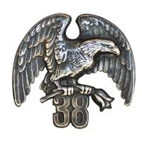 Квалификационный знак Черный Орел 38 воздушно-десантной бригады