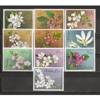 ФФ1 Польша 1972 Цветы